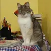 Отзыв от Карина Касьянова